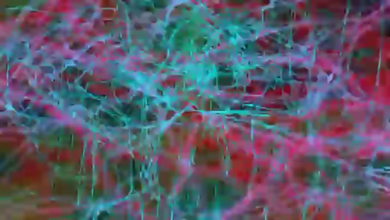 nobody leave the room -coldindread