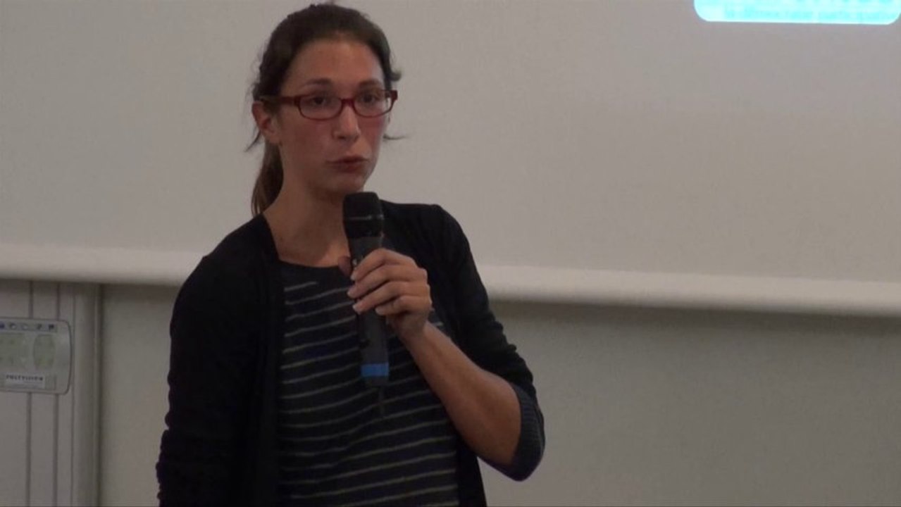 Alizée Meillère - Des moineaux dans la ville