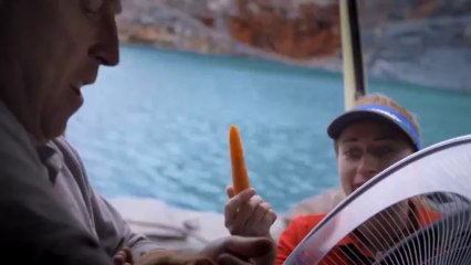 Un hámster conduce un camión de Volvo