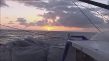 Jour 7 - MACIF (IMOCA) - Transat Jacques Vabre 2013