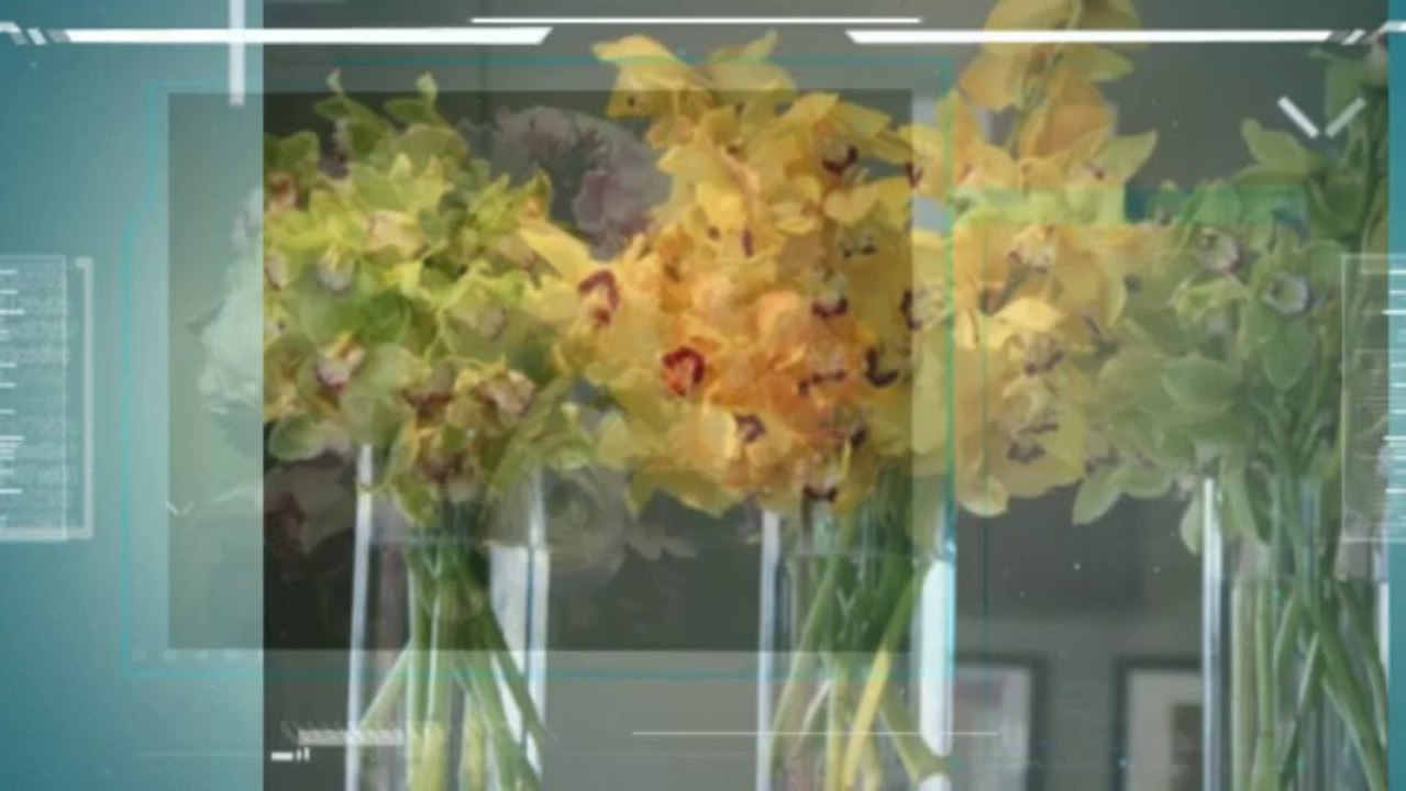 providence florist(s)