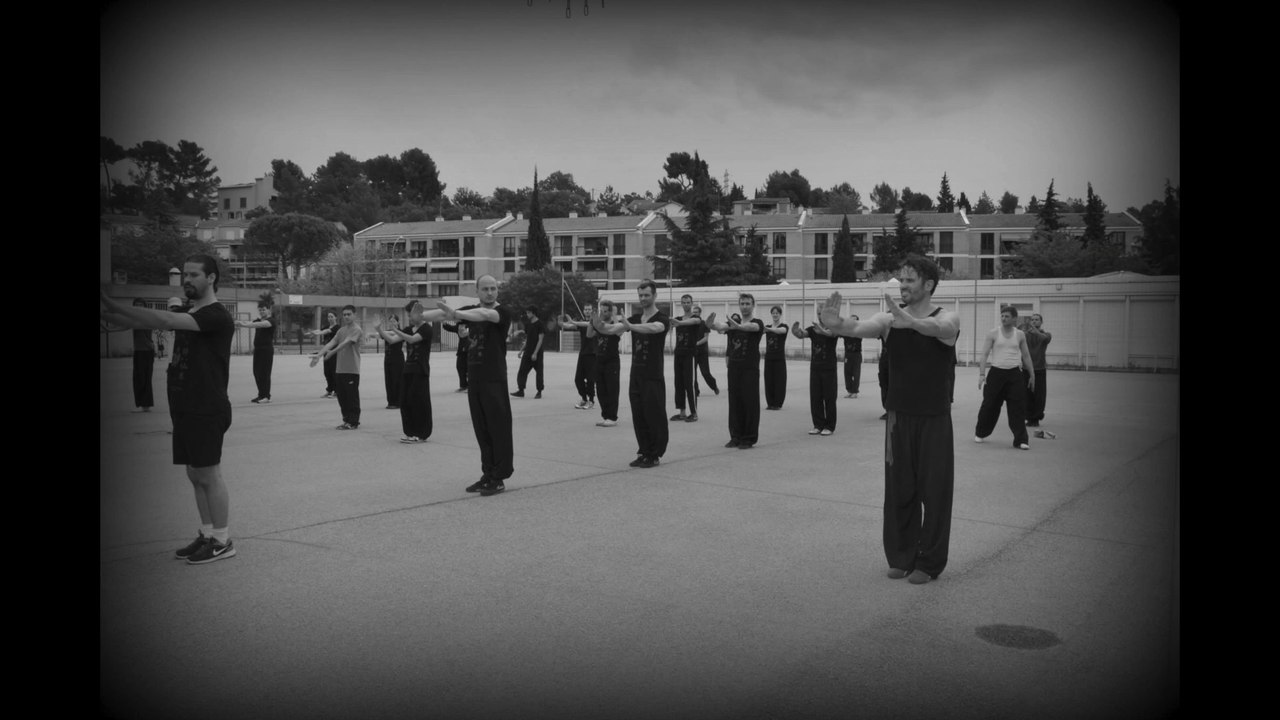 Stage international de Kung-fu sous la direction du Grand Maître Zhang Kezhi de Taïwan