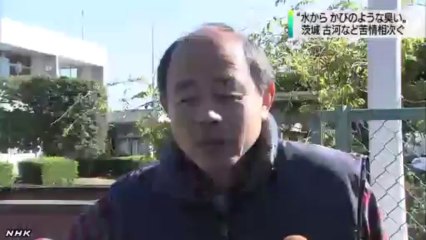 20131114　水道水から異臭の苦情相次ぐ （茨城）