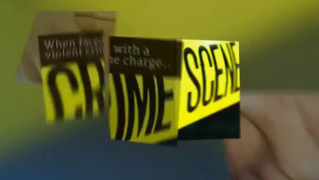 criminal lawyer fort lauderdale