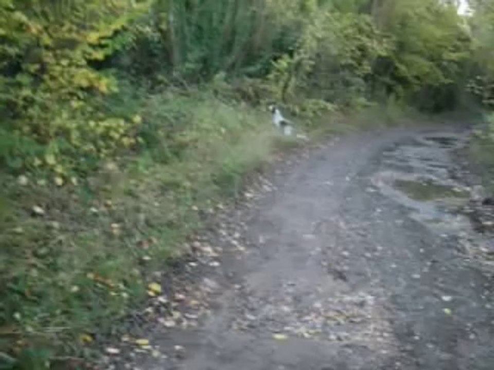 Alza en promenade