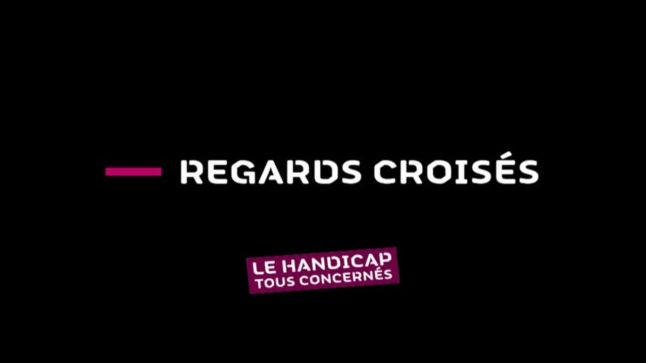 Regards croisés sur le handicap - 2013
