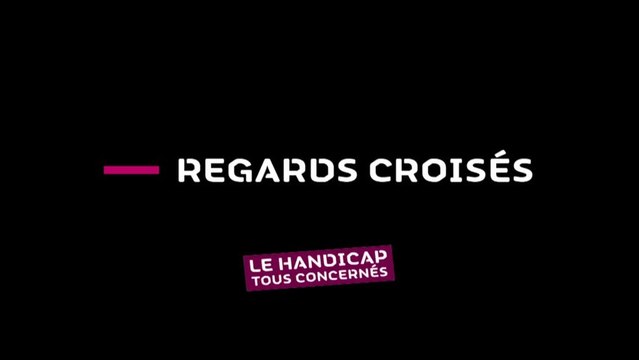 Regards croisés sur le handicap - 2013