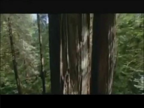 Emin İgüs /Bu Dünya Bir Pencere ( Duyuyor musunuz )