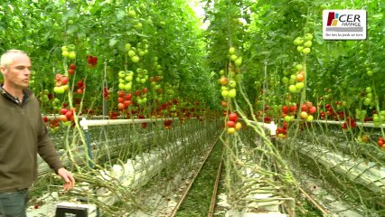 Paroles d'agriculteur n°6 : La co-génération