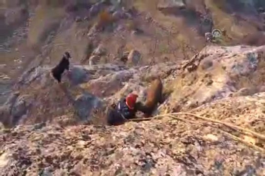 AFAD'tan keçi kurtarma operasyonu