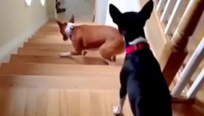 MUA BÁN TIVI CŨ TẠI HÀ NỘI ĐT 0989802706