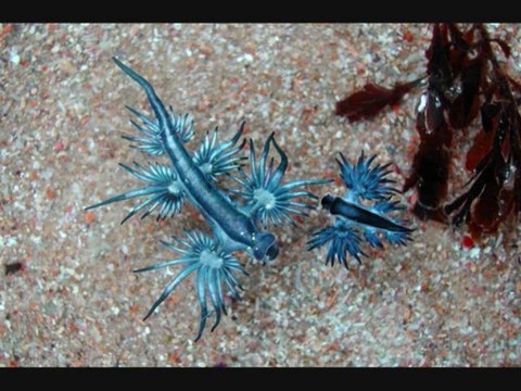 Was ich dir sagen wollte...