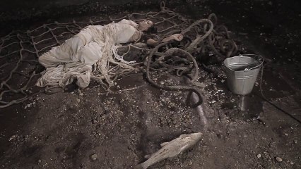 Danijela Vranic - Harfa ( OFFICIAL VIDEO HD )