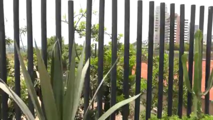 Miraflores - Malecón Cisneros - Faro