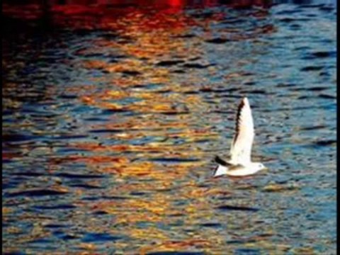 Gaye Aksu - Arada Bir