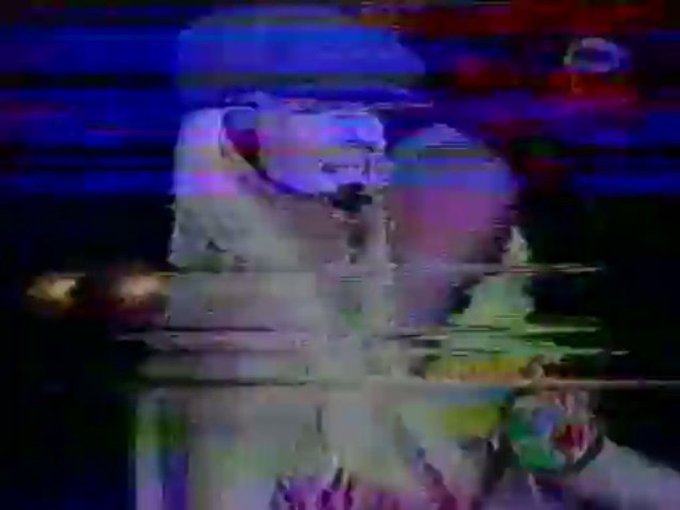 Jelena Karleusa - Nije ona nego ja nastup