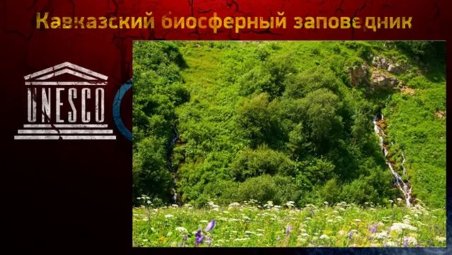 Чего нам ждать от Олимпиады в Сочи