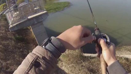창원 산남지 3542 1번째 스베 11.13.2013 GoPro Bass Fishing
