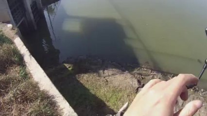 창원 산남지 3583 4번째 지그 11.13.2013 GoPro Bass Fishing