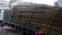 How they unload bamboo in Taiwan