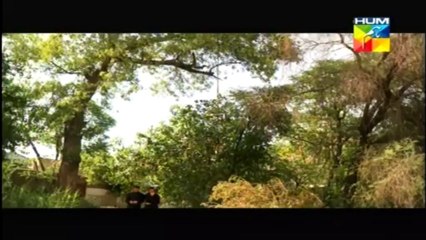 Dastaan Episode No.19-23 in High Quality By GlamurTv
