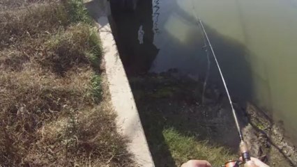 창원 산남지 3619 물었는데 몰랐음 11.13.2013 GoPro Bass Fishing