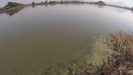 창원 산남지 3644 중류 쪽 시도 11.13.2013 GoPro Bass Fishing