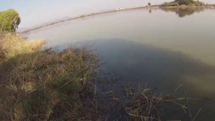 창원 산남지 3662 나무 아래 위쪽 11.13.2013 GoPro Bass Fishing