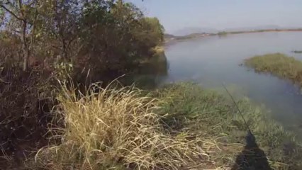 창원 산남지 3681 좀더 상류로 이동 11.13.2013 GoPro Bass Fishing
