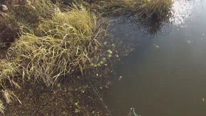 창원 산남지 3703 수초대 쪽 분위기 11.13.2013 GoPro Bass Fishing