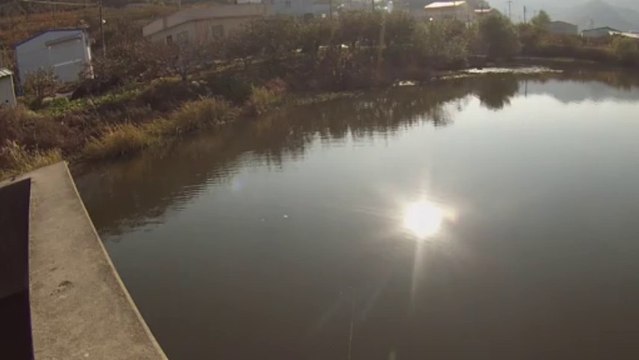 창원 산남지 3711 역각 시도 11.13.2013 GoPro Bass Fishing