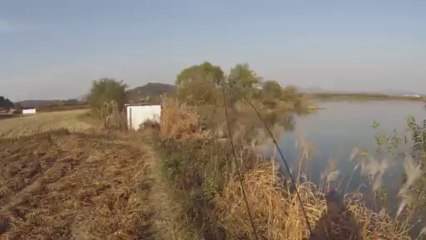 창원 산남지 3732 극 상류 진입 11.13.2013 GoPro Bass Fishing