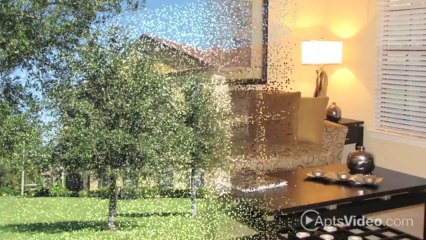 Delano at Cypress Creek Apartments in Wesley Chapel, FL - ForRent.com