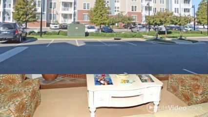 River House Apartments in Norfolk, VA - ForRent.com