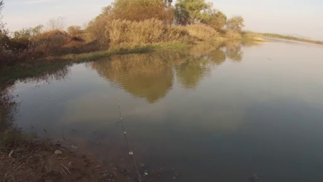 창원 산남지 3738 극 상류 위쪽 11.13.2013 GoPro Bass Fishing