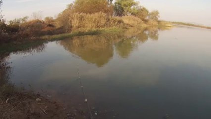 창원 산남지 3738 극 상류 위쪽 11.13.2013 GoPro Bass Fishing