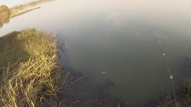 창원 산남지 3749 극 상류 좀 아래쪽 11.13.2013 GoPro Bass Fishing