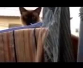 소라카지노 ＬＩＫＥ４１５.ＣＯＭ 해외카지노