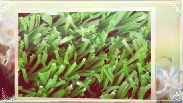 Bo's Lawn Care & Pressure Washing (706) 350-1191