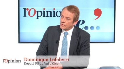 L’Opinion de Dominique Lefebvre