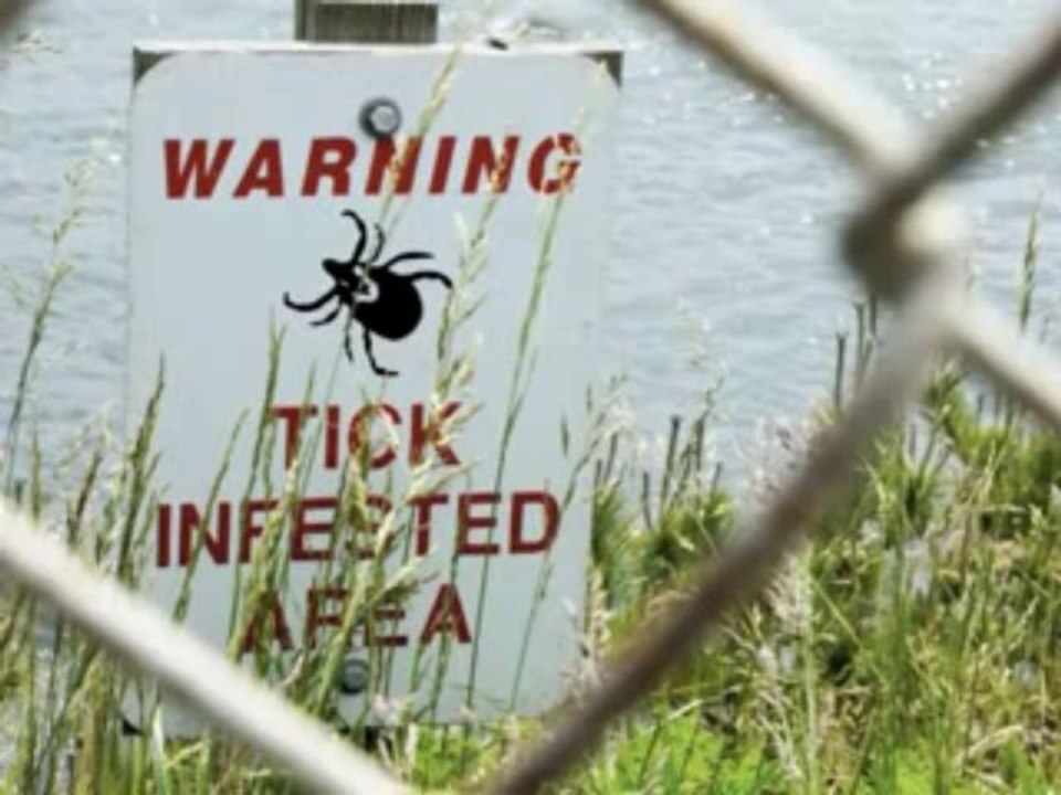 Workers Comp Lawyer Essex, MD | Baltimore County Lawyers