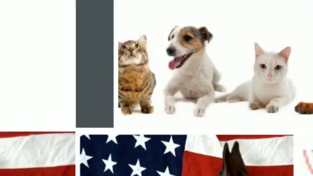 Elliot's House (617) 221-8622