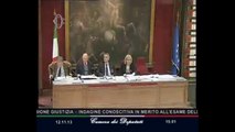Roma - Audizioni su delitti contro l'ambiente e cannabis (12.11.13)