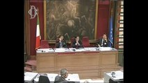 Roma - Politica tributaria e accise, audizioni Moster (13.11.13)