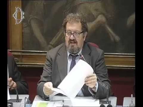 Roma - Politica tributaria e accise, audizioni Peleggi (13.11.13)