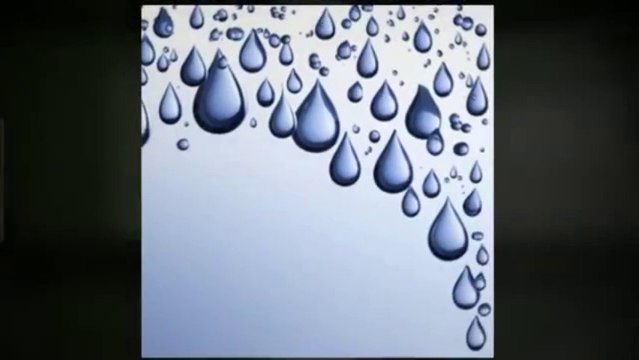 Pedro's Pressure Cleaning (813) 701-4262