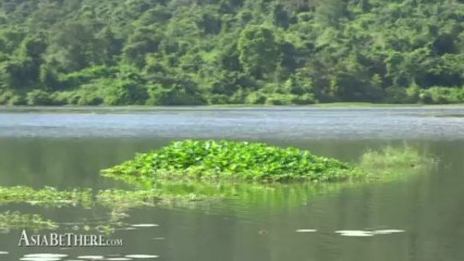 Kuiburi National Park in Thailand, Birdwatching