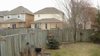 STRANGE NOISES OVER CANADIAN SKIES