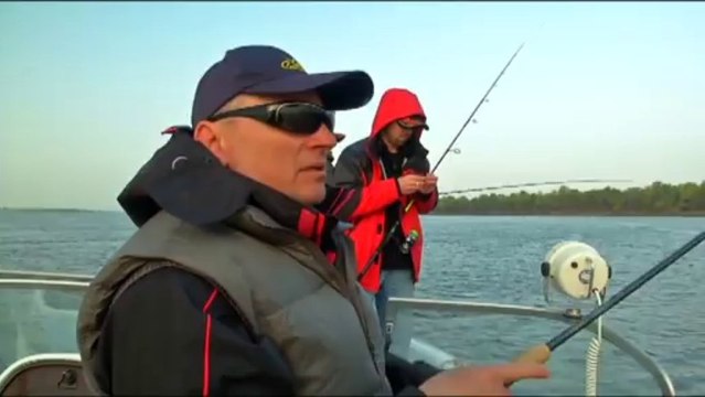 Спиннинговая ловля. Вечерний выход судака