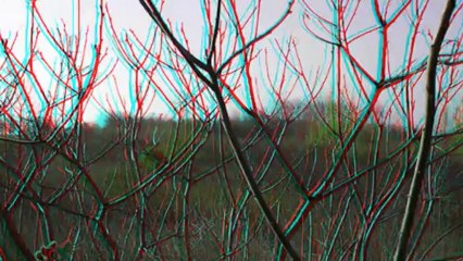 3D - WHITBY SHORES